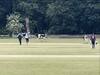 WATCH: Cows Invade Field During Cricket Match, Forces Players To Stop Match