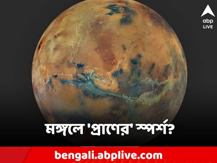 You had never seen Mars like this before. Check out this never-before-seen image Mars: মঙ্গলের বিরল ছবি, লালগ্রহের অন্যরূপে প্রাণের অস্তিত্ব 'খুঁজে' পেলেন বিজ্ঞানীরা