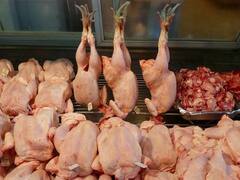 इंसान खा जाते हैं हर साल अरबों जानवर, पूरा आंकड़ा देखकर हैरान हो जाएंगे आप