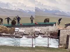 डंडे मारने चले थे लोग, भालू ने ऐसा दौड़ाया कि छत से कूद-कूदकर बचानी पड़ी जान, देखें खौफनाक Video