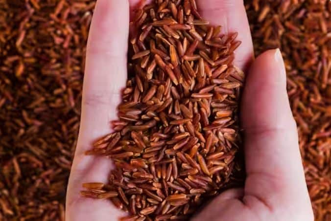 Health News amazing health benefits of red rice must add red rice in your  diet | Red Rice Benefits : आहारात लाल तांदळाचा समावेश केल्याचे हे सात फायदे  जाणून घ्या!