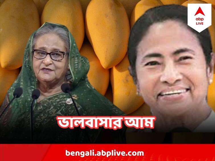 Bangladesh PM Sheikh Hasina  sends 600 kg of mangoes as a gift to West Bengal CM Mamata Banerjee Sheikh Hasina Mamata Banerjee :  মুখ্যমন্ত্রীকে বাংলাদেশের ভালবাসা, আম পাঠালেন প্রধানমন্ত্রী শেখ হাসিনা