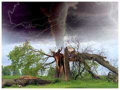 150 KM की रफ्तार से आगे बढ़ेगा बिपरजॉय तूफान, इस हवा में कितने किलो तक के सामान उड़ जाएंगे?