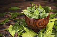 Bay leaf Benefits : તમાલપત્ર સ્વાસ્થ્યલક્ષી ગુણોનો ભંડાર, આ રોગમાં તેનું સેવન છે રામબાણ ઇલાજ