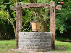 Kale Chawal ke Upay: काले चावल खोलेंगे बंद किस्मत का ताला, नौकरी और धन में होगा लाभ