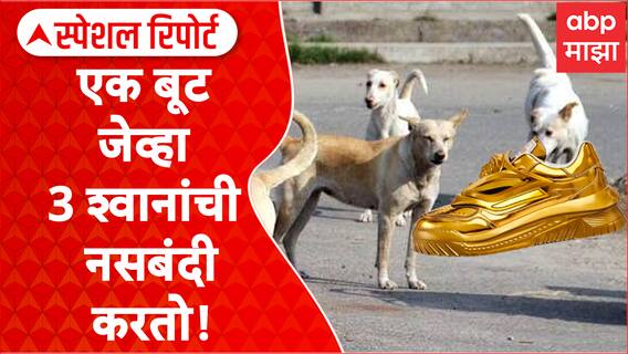 Sambhajinagar : एक बूट जेव्हा 3 श्वानांची नसबंदी करतो! Special Report