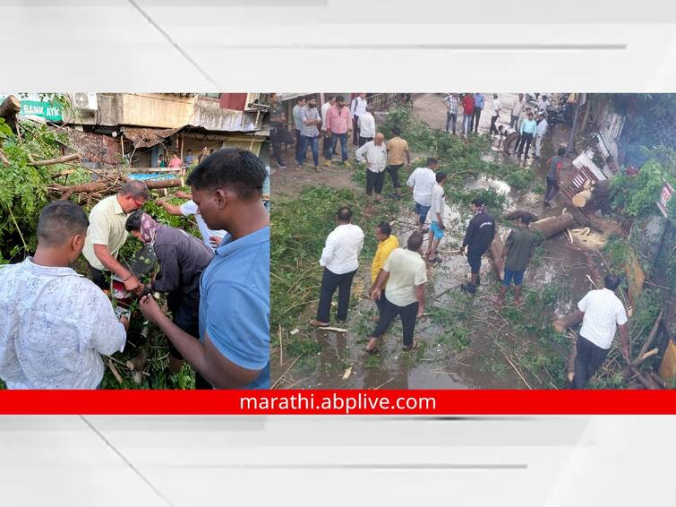 Rain Update Heavy rain in Chhatrapati Sambhaji Nagar city Trees fell on the bikers Rain Update: छत्रपती संभाजीनगर शहरात मुसळधार पाऊस, दुचाकीस्वारांच्या अंगावर पडले झाडं