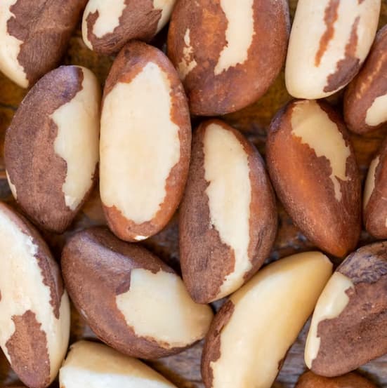 Benefits of brazil nuts for thyroid know how to add in your diet इस ड्राई फ्रूट से हो सकता है थायरॉयड का इलाज... आज ही से कर लीजिए डाइट में शामिल