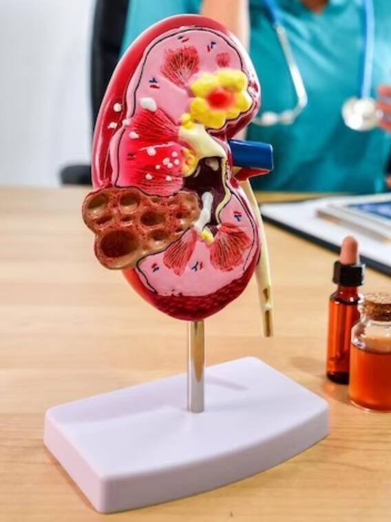 किडनी फिट है या अनफिट? इन लक्षणों को पहचानिए