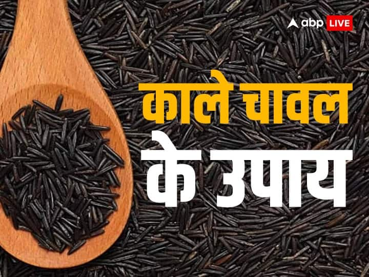 Black Rice Totke: तांत्रिक प्रक्रियां में काले चावल का खास उपयोग किया जाता है लेकिन काले चावल के कुछ आसान उपाय भी हैं जो व्यक्ति की तरक्की में कारगर हैं, इससे धन लक्ष्मी भी आकर्षित होती हैं.