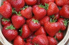 Health Care: ही आहेत जगातील सर्वात आरोग्यदायी 8 फळं, यादी बघितल्यावर तुम्हाला वाटेल हे आपणही खाऊ शकतो