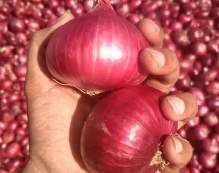 तेलंगणा सरकारच्या हमीभाव योजनेमुळे महाराष्ट्रातील कांदा उत्पादकांना दिलासा
