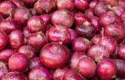 तेलंगणा सरकारमध्ये शेतकरी हा केंद्रबिंदू आहे. त्याच्या शेतमालाला भाव मिळण्यासाठी हमीभाव तर आहेच याशिवाय एक विशेष निधी देखील आहे.