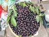 Agriculture News : आंब्यापेक्षा जांभळं महाग, एक जांभूळ दहा रुपयाला; किलोचा दर चारशे रुपयांवर