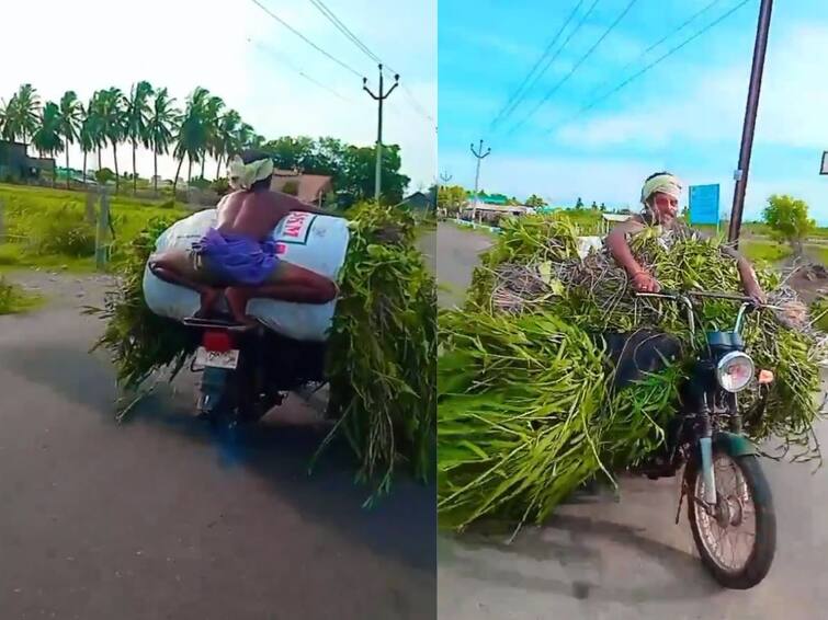 Viral Video of Man Riding TVS XL with Heavy Load Leaves Netizens Mesmerized Viral Video: TVS XLపై అడ్వెంచరస్ జర్నీ, ఎవరయ్యా నువ్వు ఇంత టాలెంటెడ్‌గా ఉన్నావ్ - వైరల్ వీడియో