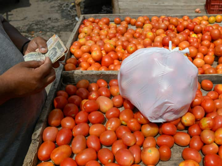 Tomato Price Hike 60 rupees kg in Mumbai Maharashtra Thane Know Reason behind Tomato Price Hike: आम आदमी पर महंगाई की मार, सब्जियों के बढ़े दाम ने बिगाड़ा खाने का जायका, टमाटर हुआ 60 रुपए किलो