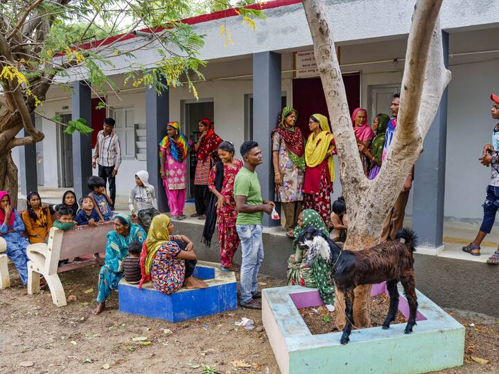 Not just villagers but their livestock were also evacuated from the danger-prone area and shifted to shelter homes. A total of 1,521 shelter homes have been established in eight districts of Gujarat (Image Source: PTI)