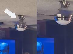 Viral Video: ਛੱਤ ਵਾਲੇ ਪੱਖੇ 'ਤੇ ਲਟਕਿਆ ਸੱਪ, ਹੇਠਾਂ ਉਤਰਨ ਦੀ ਕੀਤੀ ਕੋਸ਼ਿਸ਼, ਅੱਗੇ ਜੋ ਹੋਇਆ ਉਹ ਦੇਖ ਕੇ ਤੁਹਾਡੇ ਦਿਲ ਦੀ ਵੀ ਵਧ ਜਾਵੇਗੀ ਧੜਕਨ!