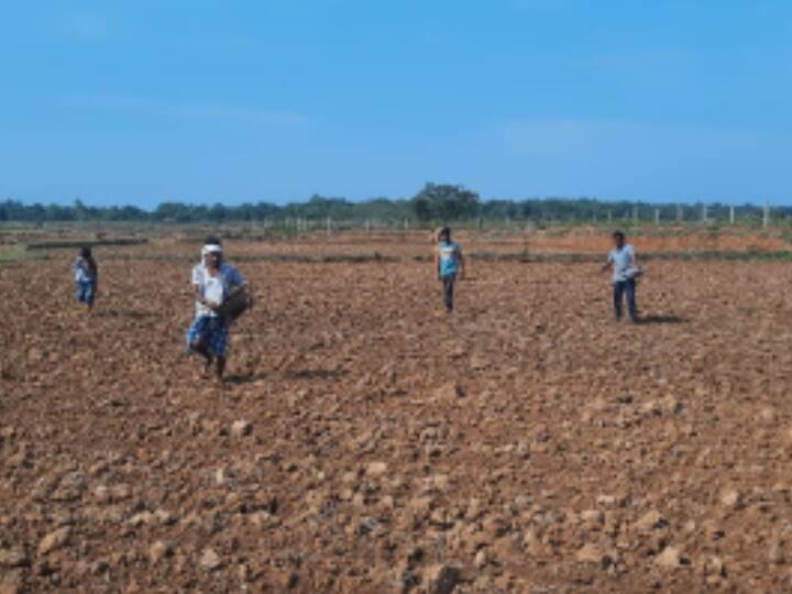 Chhattisgarh farmers monsoon KCC bastar new employeesstrike government benefits ANN Chhattisgarh: बस्तर में किसान हो रहे परेशान, कर्मचारीयों के हड़ताल से कई सरकारी लाभ लेने में दिक्कत