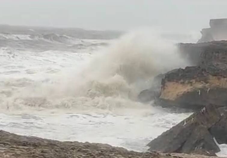 What are the government's preparations to deal with the impact of Cyclone Biparjoy Cyclone Biparjoy 2023: બિપરજોય વાવાઝોડાની અસરને પહોંચી વળવા કેવી છે સરકારની તૈયારીઓ, એક ક્લિકે જાણો A To Z માહિતી