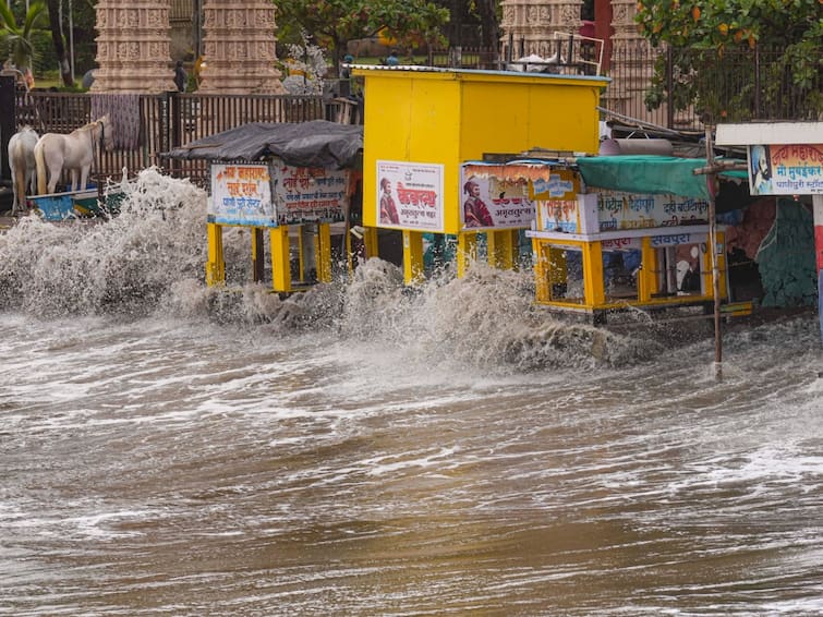 Cyclone Biparjoy News Strong Winds Heavy Rain Pummel Gujarat, Trees Electric Poles Uprooted Dwarka Mandvi Cyclone Biparjoy: Strong Winds & Heavy Rain Pummel Gujarat, Trees & Electric Poles Uprooted. Top Points