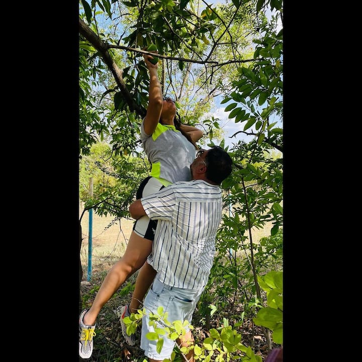 మామిడి పండ్లను కోసేందుకు నేరుగా అనసూయే రంగంలోకి దిగింది. రంగమ్మత్తను ఆమె భర్త ఎత్తుకుని మరీ మామిడి కాయలు కోయించాడు.