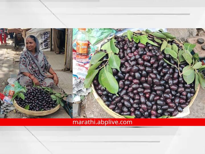 Agriculture News : सद्या आंब्याचा (Mango) सीजन सुरु आहे. त्यामुळे आंब्यांना चांगले दर मिळत आहे. पण अशात आंब्यांना जांभळाने (Jamun Fruit) मागे टाकले आहे.