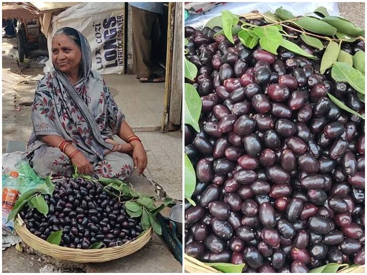 त्यात जोरदार वारा असल्याने बार गळून पडला होता. त्यामुळे बाजारात जांभळाची आवक कमी झाली आहे. त्यातच गावरान जांभूळ बाजारात येण्यासाठी आणखी एखाद्या आठवड्याचा वेळ आहे.