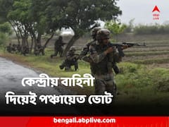 গোটা রাজ্যে কেন্দ্রীয় বাহিনী দিয়েই পঞ্চায়েত ভোট, নির্দেশ হাইকোর্টের