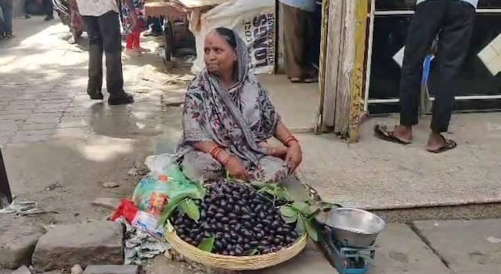 त्यामुळे जांभूळ उत्पादक शेतकऱ्यांना यंदा मोठा दिलासा मिळत आहे.