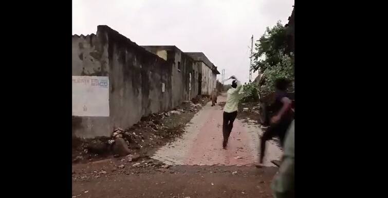 Gir Somnath: lion harassment by young boy in talala village, video viral Gir Somnath: ગામની શેરીમાં આવેલા સિંહની પાછળ લાકડીઓ લઇને દોડ્યા યુવાનો, સિંહની સતામણીનો વીડિયો વાયરલ