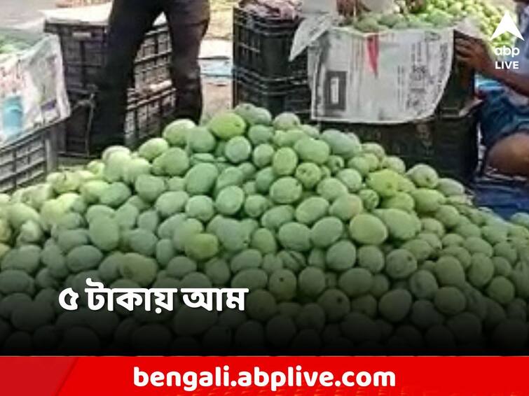 yield of mangoes in Malda is very high, the price has come down a lot Malda: ৫ টাকার লক্ষ্ণণভোগ, ১০ টাকায় হিমসাগর! ক্রেতা খুশি, উদ্বেগে চাষি-বিক্রেতা