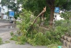 Biparjoy Cyclone Photo:  બિપરજોય વાવાઝોડા સર્જી તારાજી, ક્યાંક મકાન ધરાશાયી તો ક્યાંક વૃક્ષો