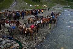 JK Tourism: আপেল-জাফরান থেকে শাল! উপহারের ডালি নিয়ে অপেক্ষায় কাশ্মীর