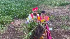 Kolhapur : पंचगंगा नदीमधील जलपर्णी काढत नवदाम्पत्याने केली नवजीवनाची सुरुवात