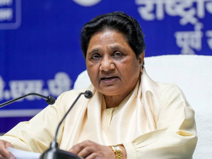 Mayawati brother got 261 flats in 46 percent discount noida logix infratech Mayawati:  माजी मुख्यमंत्री मायावतींच्या भावाला 261 फ्लॅट मिळाले तब्बल 46 टक्के सवलतीत, ऑडिटमधून धक्कादायक माहिती उघड