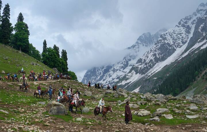 কাশ্মীরের পশম, শাল-শীতবস্ত্র আকর্ষণের আরও একটি দিক। তারই সঙ্গে রয়েছে হাতের কাজের নানা জিনিস।