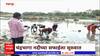 Pandharpur : चंद्रभागा प्रदूषणाच्या विळख्यात, माझाच्या बातमीनंतर नगरपालिकेला जाग, सफाईला सुरुवात