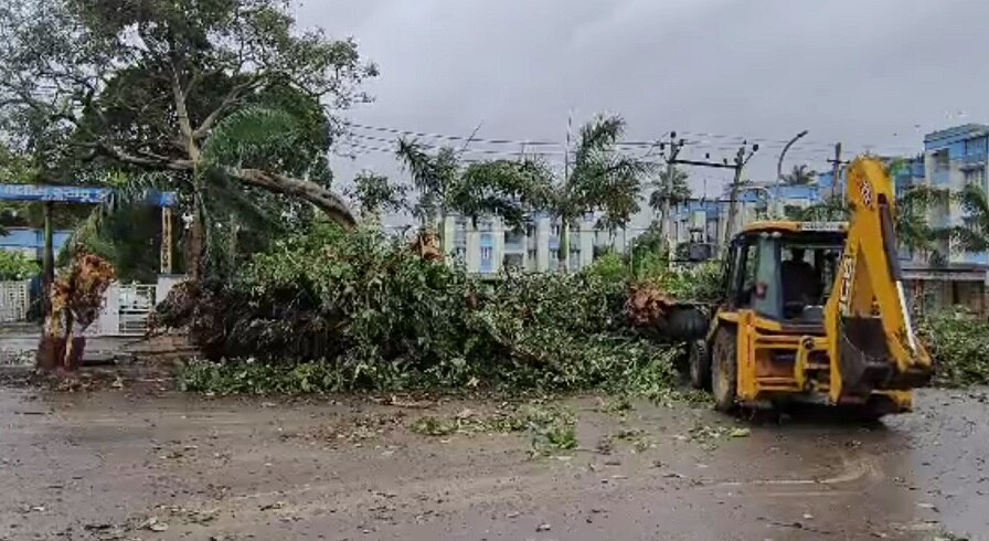 Cyclone Biparjoy :  વાવાઝોડા બાદ સૌરાષ્ટ્રના જિલ્લાઓમાં જોવા મળ્યા ઠેર ઠેર તબાહીના દ્રશ્યો, અનેક વૃક્ષો થયા ધરાશાયી