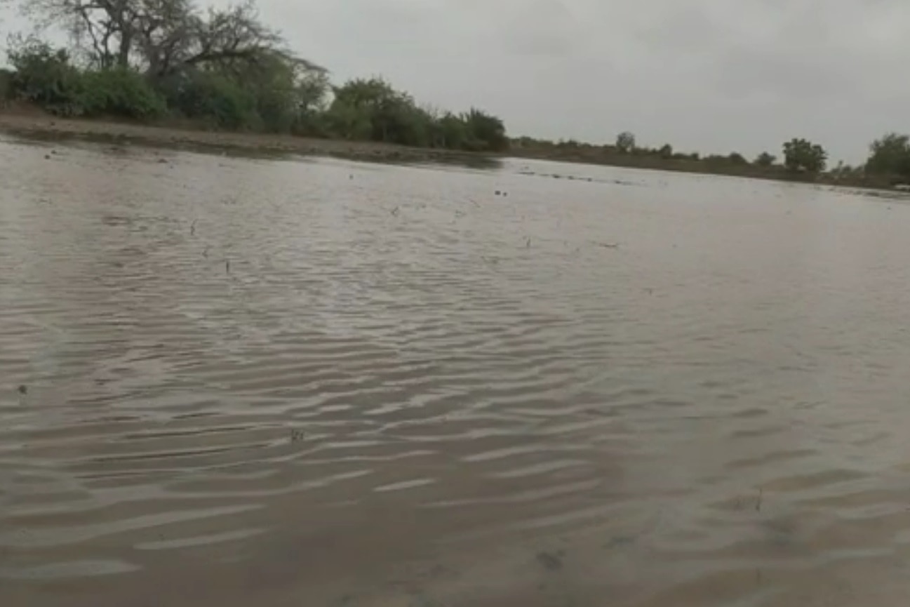 Rain: બિપરજોય વાવાઝોડાથી બનાસકાંઠામાં તારાજી, ભારે વરસાદથી ખેતરો બેટમાં ફેરવાયા
