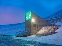 అదో ప్రపంచదేశాల లాకర్, బంగారం- డబ్బు కంటే విత్తనాలకే పటిష్ఠ భద్రత