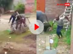 भैंस को दिखाया लाला कपड़ा तो लगा दी क्लास, दौड़ा-दौड़ाकर कर दी शख्स की हालत खराब, Video Viral