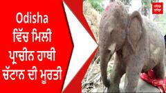 Puri, Odisha ਵਿੱਚ ਮਿਲੀ ਪ੍ਰਾਚੀਨ ਹਾਥੀ ਚੱਟਾਨ ਦੀ ਮੂਰਤੀ