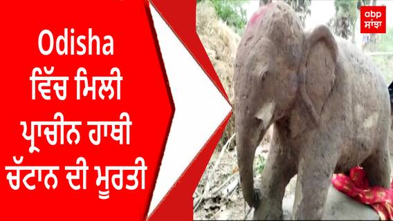 Puri, Odisha ਵਿੱਚ ਮਿਲੀ ਪ੍ਰਾਚੀਨ ਹਾਥੀ ਚੱਟਾਨ ਦੀ ਮੂਰਤੀ