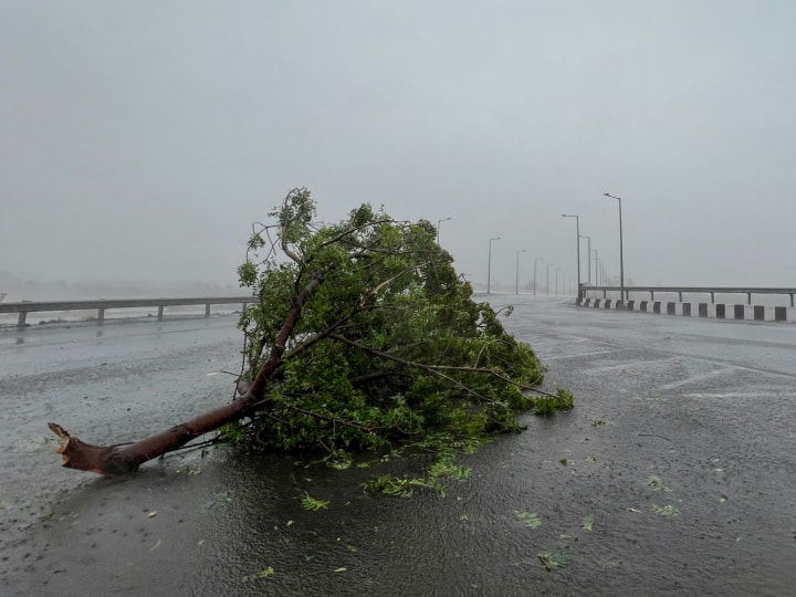 Cyclone Biparjoy effect left trail of destruction in Gujarat trees electric poles uprooted near coast Cyclone Biporjoy: चक्रवात 'बिपारजॉय' ने गुजरात में छोड़े तबाही के निशान, तट के पास पेड़, बिजली के खंभे उखड़े