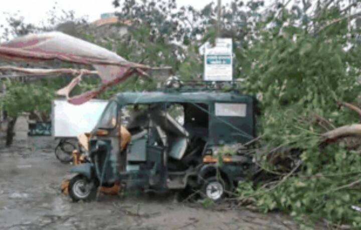 વાવાઝોડના કારણે અનેક વૃક્ષો ધરાશાયી થયા હતા. ઘણી જગ્યાએ વૃક્ષો પાર્ક કરેલા વાહન પર પડતાં વાહનોનો કચ્ચરઘાણ નીકળી ગયો હતો.