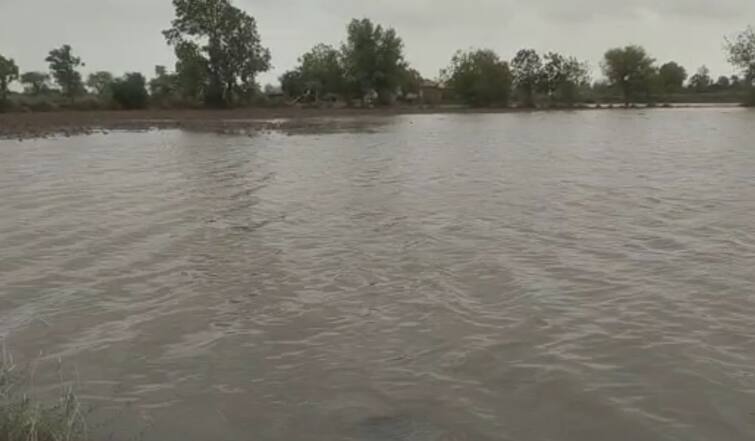 Banaskantha district was also affected by Cyclone Biparjoy Rain: બિપરજોય વાવાઝોડાથી બનાસકાંઠામાં તારાજી, ભારે વરસાદથી ખેતરો બેટમાં ફેરવાયા