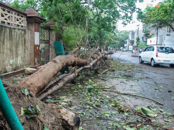 Cyclone Biparjoy ndrf dg atul karwal says no lives lost after landfall in Gujarat Cyclone Biparjoy: गुजरात में करीब 1000 गांवों में बिजली सप्लाई प्रभावित, 800 पेड़ उखड़े, पढ़ें डिटेल