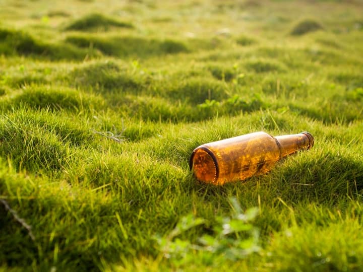 Alcoholic drink Bro Code is not a beer it is a carbonated wine check this interesting fact here क्या आप भी Bro Code को बीयर समझकर पीते हैं? जानिए असल में ये क्या है