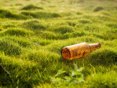 क्या आप भी Bro Code को बीयर समझकर पीते हैं? जानिए असल में ये क्या है